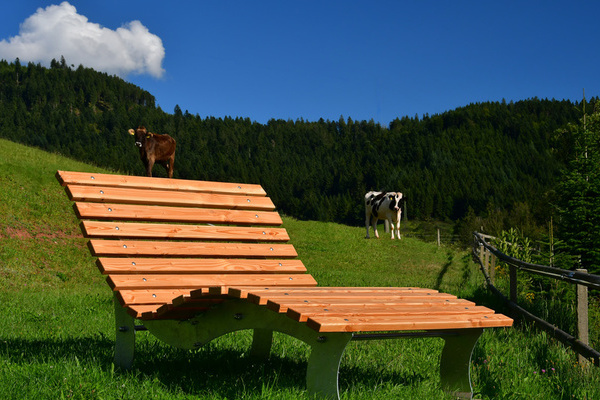 'Himmelsliege auf dem M�llerbauernhof im Schwarzwald'