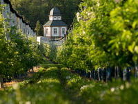 Stadt Renchen - Mit freundlicher Genehmigung der Stadt Renchen Stadt Renchen - Mit freundlicher Genehmigung der Stadt Renchen