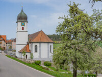 (Bildnachweis: Mit freundlicher Genehmigung der Stadtverwaltung Waldshut-Tiengen (Foto: Dieter Schäuble)) (Bildnachweis: Mit freundlicher Genehmigung der Stadtverwaltung Waldshut-Tiengen (Foto: Dieter Schäuble))