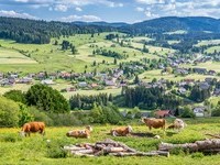 (Bildnachweis: Mit freundlicher Genehmigung Tourist Information Bernau) (Bildnachweis: Mit freundlicher Genehmigung Tourist Information Bernau)