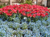 (Bildnachweis: Mit freundlicher Genehmigung der Stadt Lahr) (Bildnachweis: Mit freundlicher Genehmigung der Stadt Lahr)