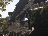 Schlossbuck in Heitersheim (Bildnachweis: Gemeinde Heitersheim, Fotograf: Christoph Eberle) Schlossbuck in Heitersheim (Bildnachweis: Gemeinde Heitersheim, Fotograf: Christoph Eberle)