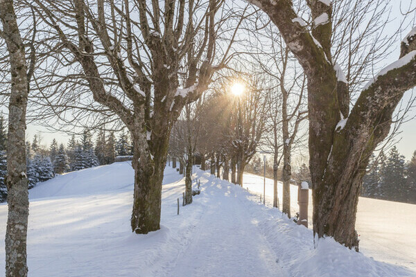 Ohmenkapelle St. Märgen Bildnachweis: Mit freundlicher Genehmigung der Hochschwarzwald Tourismus GmbH Ohmenkapelle St. Märgen Bildnachweis: Mit freundlicher Genehmigung der Hochschwarzwald Tourismus GmbH