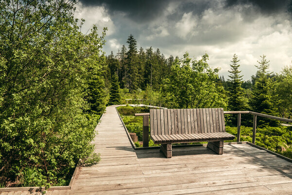 Der Lotharpfad Bildnachweis: Mit freundlicher Genehmigung von Baiersbronn Touristik | © Max Günter Der Lotharpfad Bildnachweis: Mit freundlicher Genehmigung von Baiersbronn Touristik | © Max Günter