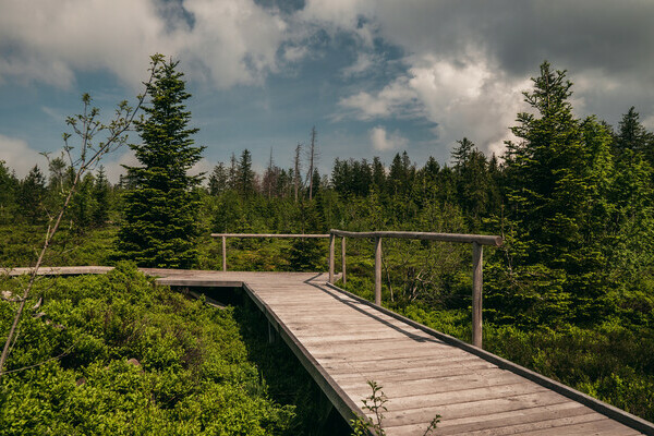 Der Lotharpfad Bildnachweis: Mit freundlicher Genehmigung von Baiersbronn Touristik | © Max Günter Der Lotharpfad Bildnachweis: Mit freundlicher Genehmigung von Baiersbronn Touristik | © Max Günter