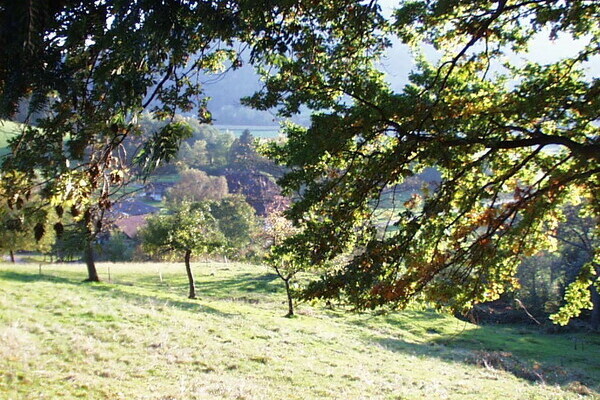 Bildnachweis: 4ws-netdesign Bildnachweis: 4ws-netdesign