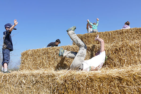 Heuballen zum Spielen Bildnachweis: Fam. Sennert - Freizeitpark-Rotfelden Heuballen zum Spielen Bildnachweis: Fam. Sennert - Freizeitpark-Rotfelden