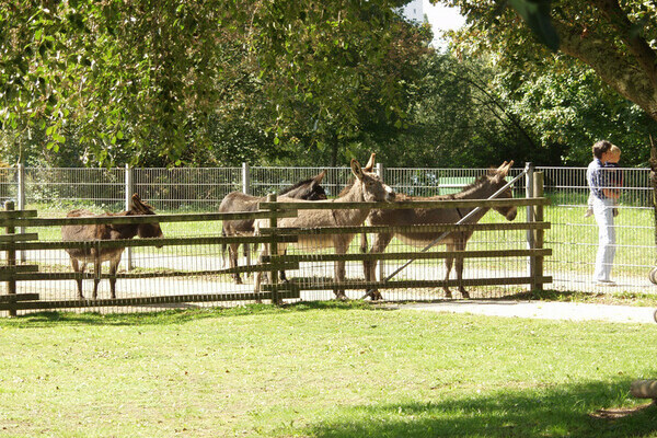 Bildnachweis: Mit freundlicher Genehmigung der Stadt Offenburg Bildnachweis: Mit freundlicher Genehmigung der Stadt Offenburg