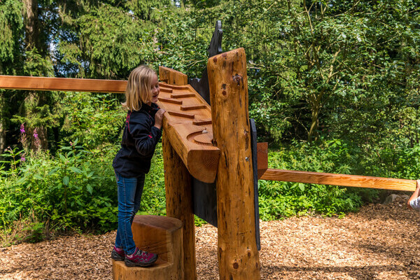 Wolfspfad Bildnachweis: © Tourist-Information Höchenschwand, Fotograf Klaus Hansen Wolfspfad Bildnachweis: © Tourist-Information Höchenschwand, Fotograf Klaus Hansen