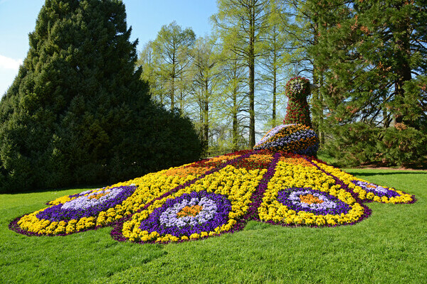 Bildnachweis: © Mainau GmbH Bildnachweis: © Mainau GmbH