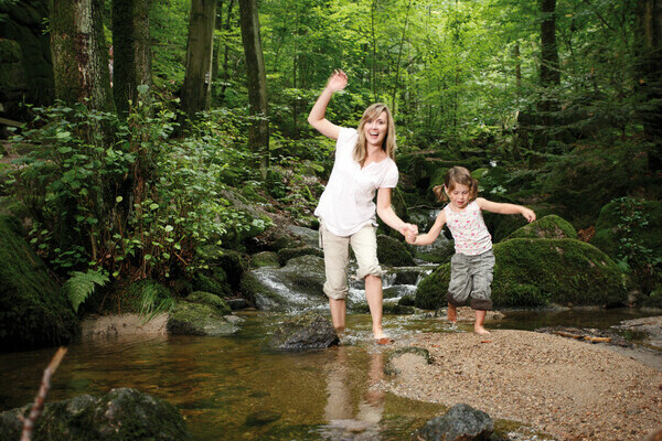 Gaishöll Wasserfälle Bildnachweis: Copyright Tourist-Info Sasbachwalden Gaishöll Wasserfälle Bildnachweis: Copyright Tourist-Info Sasbachwalden