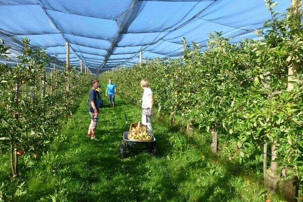 Obsthof Drechsle Bildnachweis: Obsthof Drechsle Obsthof Drechsle Bildnachweis: Obsthof Drechsle