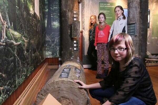 Bannwald Bildnachweis: © Natur-Infozentrum Kaltenbronn Bannwald Bildnachweis: © Natur-Infozentrum Kaltenbronn