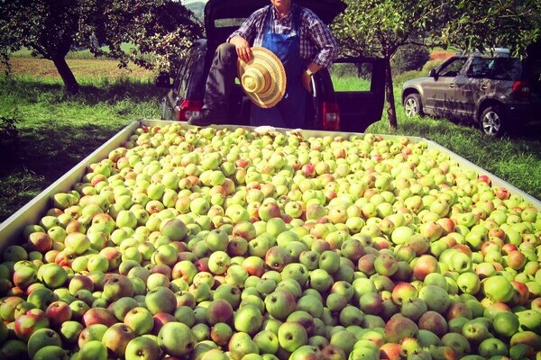Brennerei Baron Droste Hülshoff Bildnachweis: Mit freundlicher Genehmigung von Herrn Benedikt von Droste zu Hülshoff Brennerei Baron Droste Hülshoff Bildnachweis: Mit freundlicher Genehmigung von Herrn Benedikt von Droste zu Hülshoff