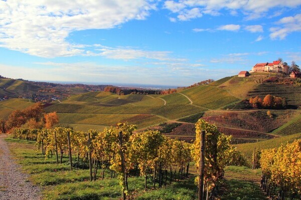 Bildnachweis: Mit freundlicher Genehmigung der Gemeinde Durbach Bildnachweis: Mit freundlicher Genehmigung der Gemeinde Durbach